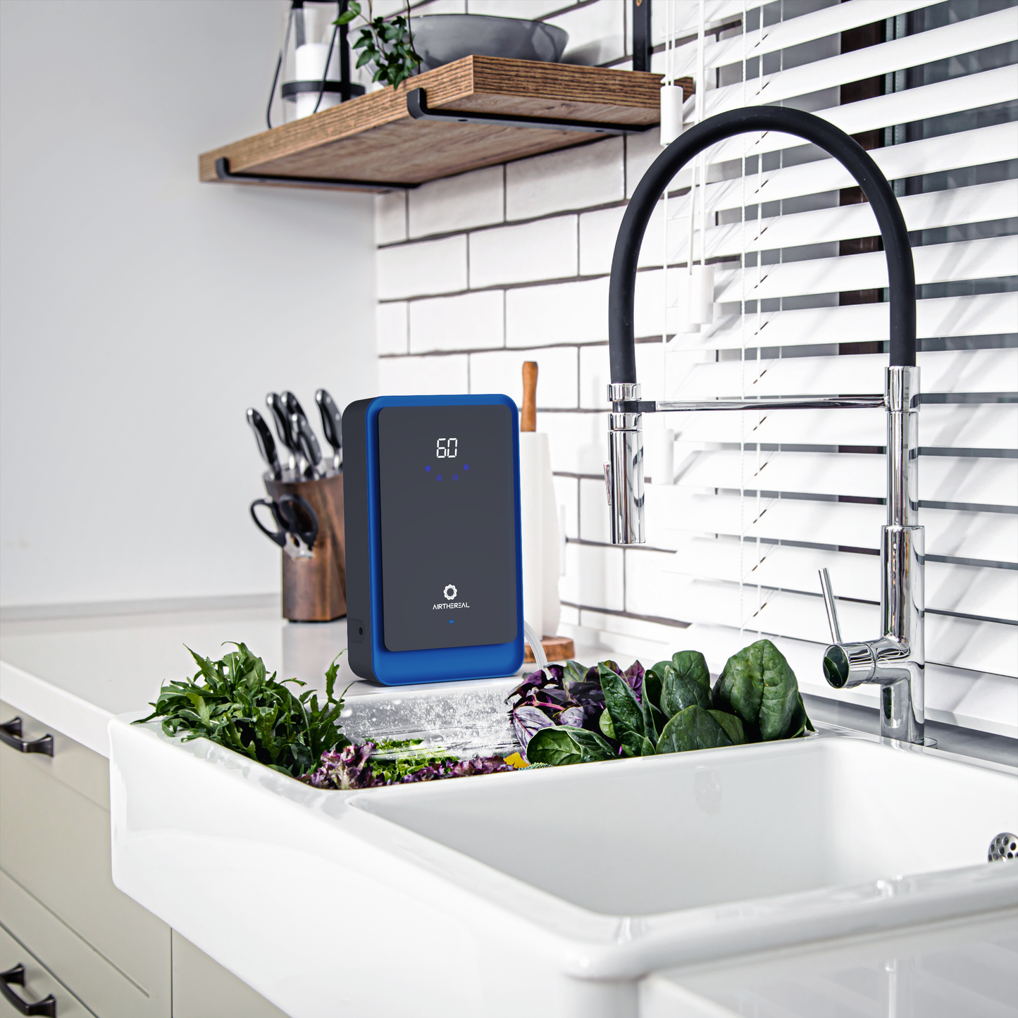 AH1000 Water Ozone Generator - GermBlast
