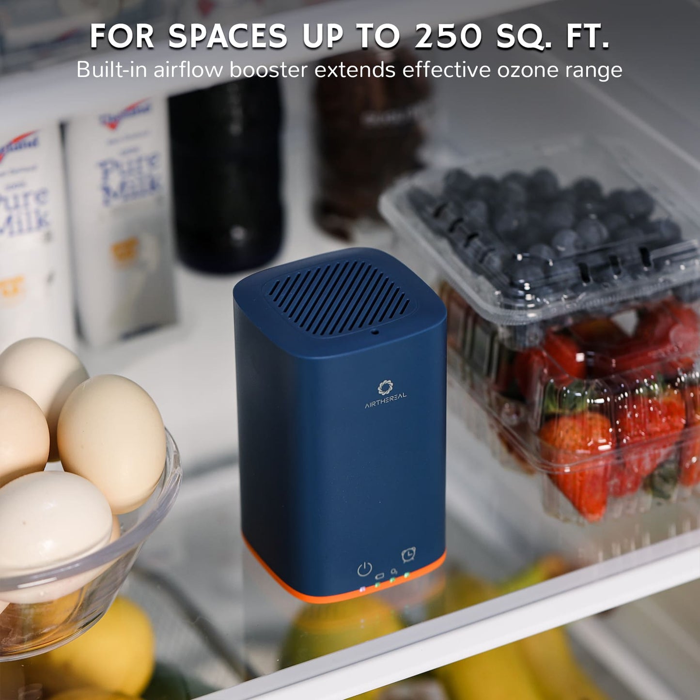 PA300-GO Portable Ozone Generator - GermBlast