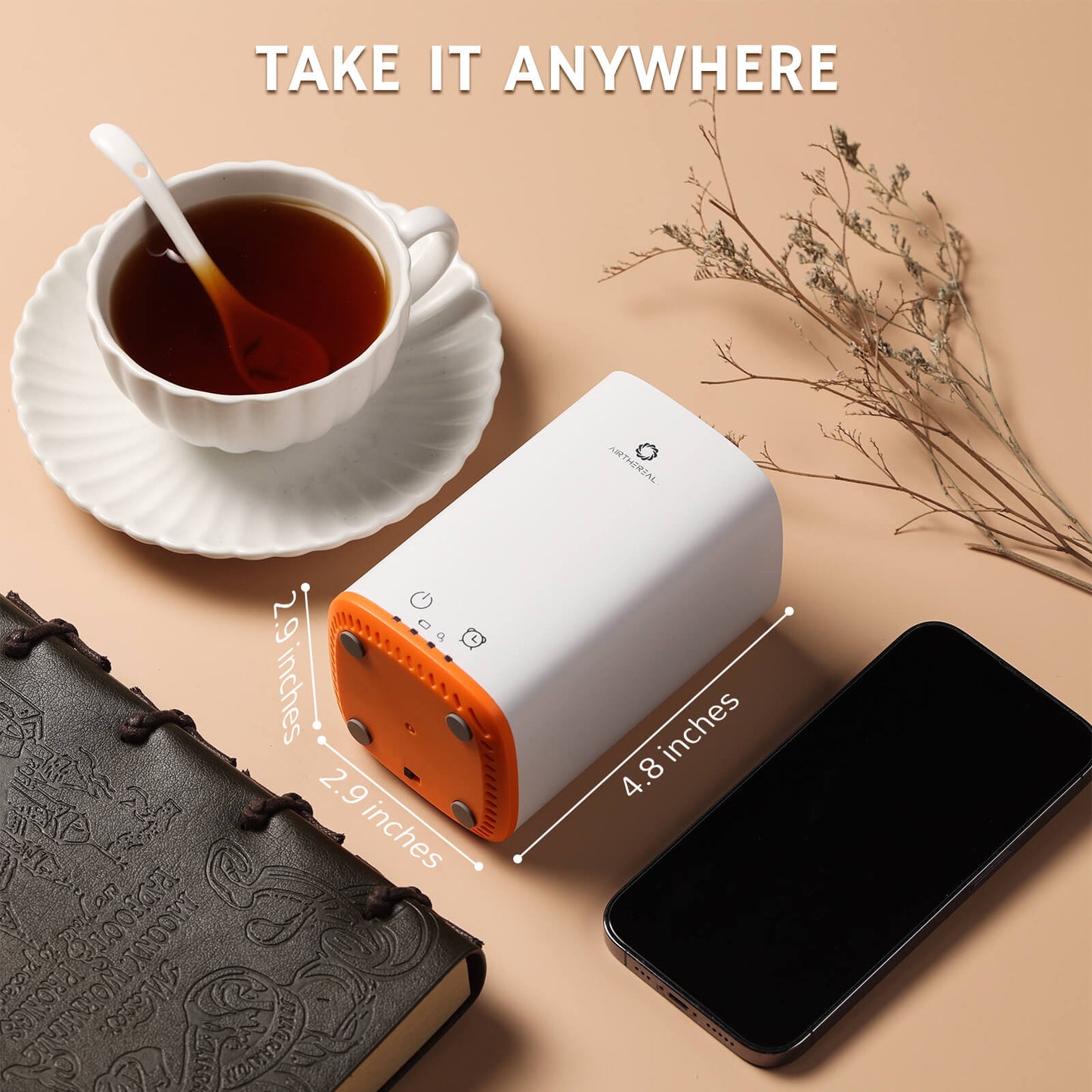 PA300-GO Portable Ozone Generator - GermBlast