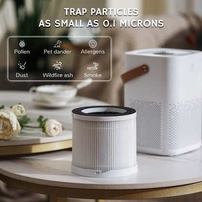 Day Dawning ADH70 Desktop Air Purifier - GermBlast