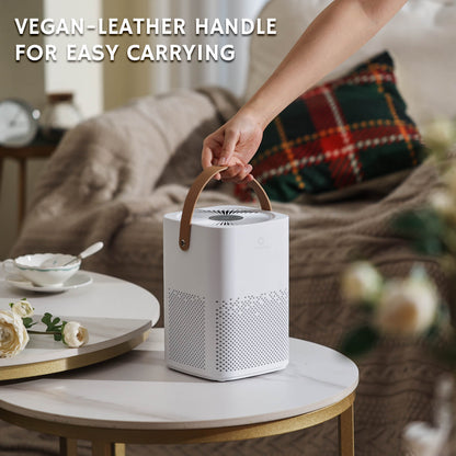Day Dawning ADH70 Desktop Air Purifier - GermBlast