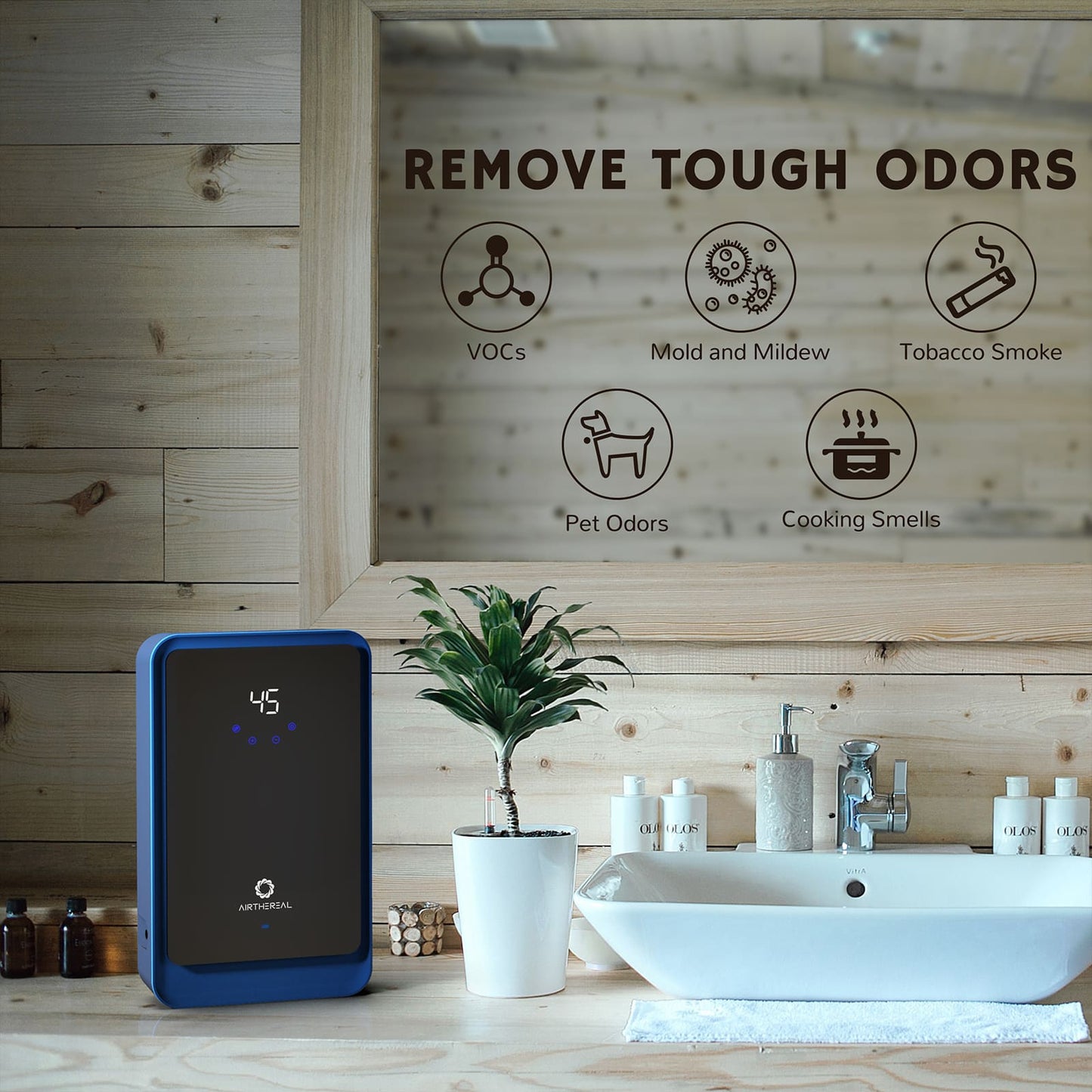 AH1000 Water Ozone Generator - GermBlast