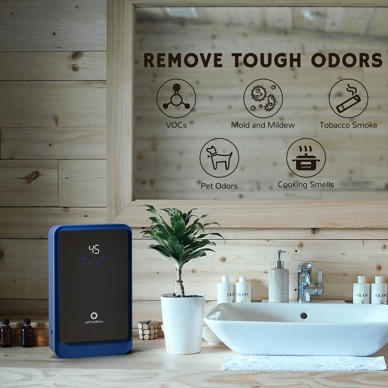AH1000 Water Ozone Generator - GermBlast