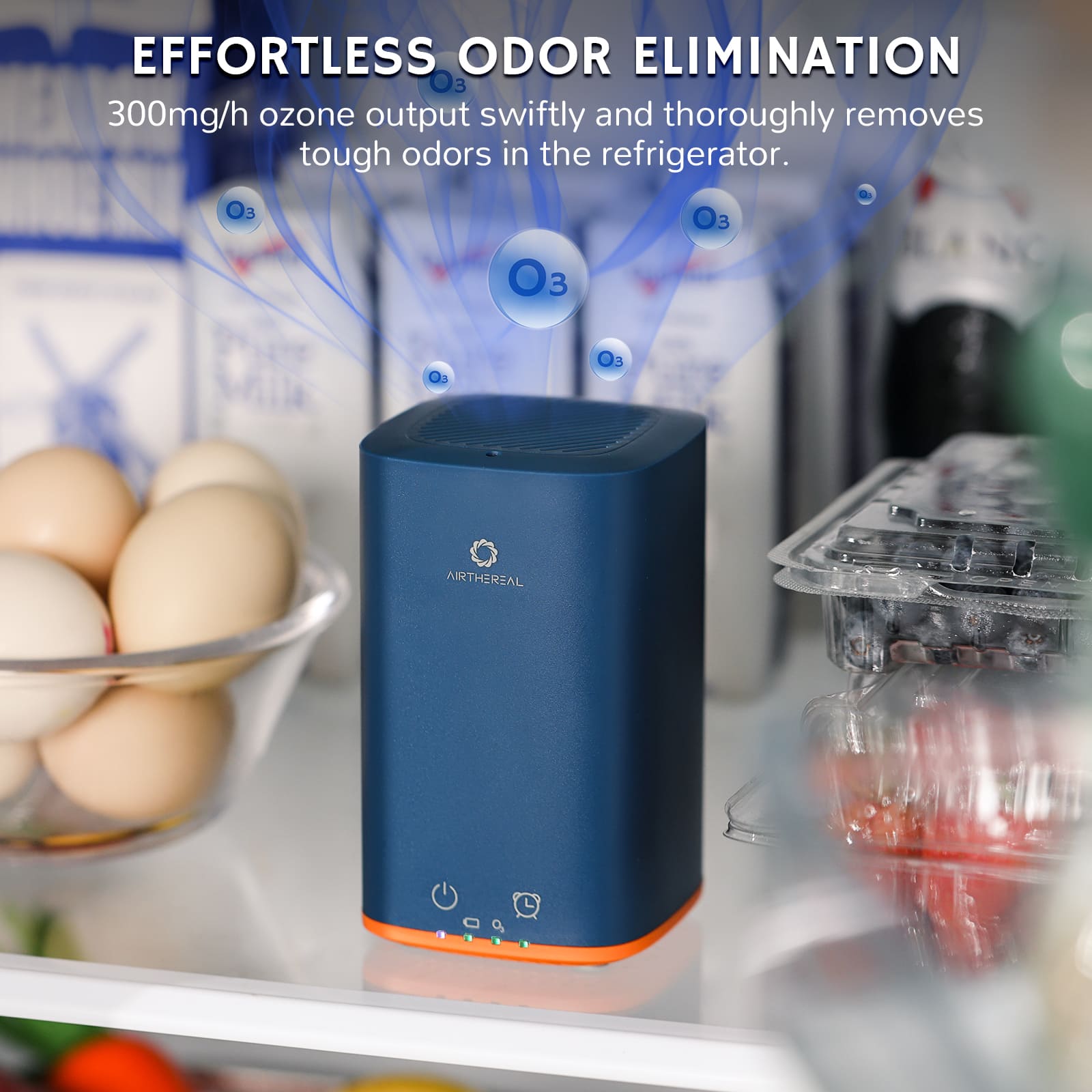 PA300-GO Portable Ozone Generator - GermBlast
