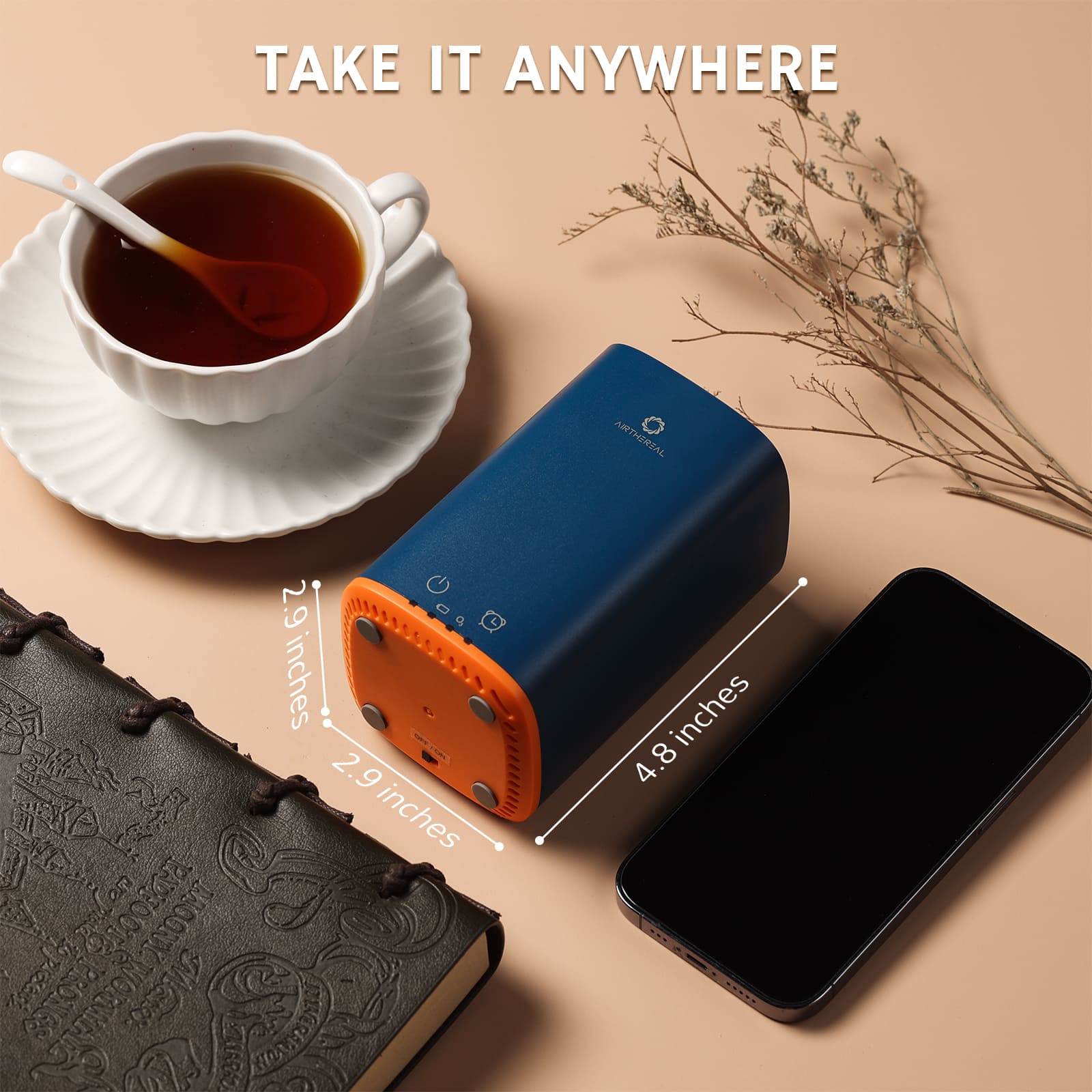 PA300-GO Portable Ozone Generator - GermBlast