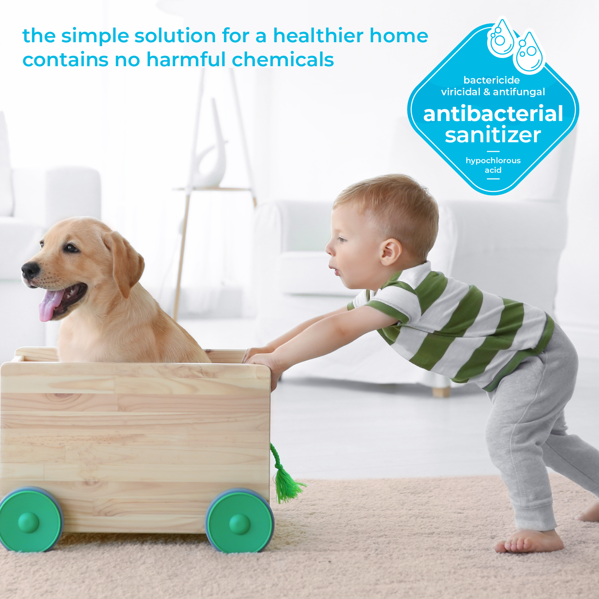 HOCl Disinfectant Spray - GermBlast